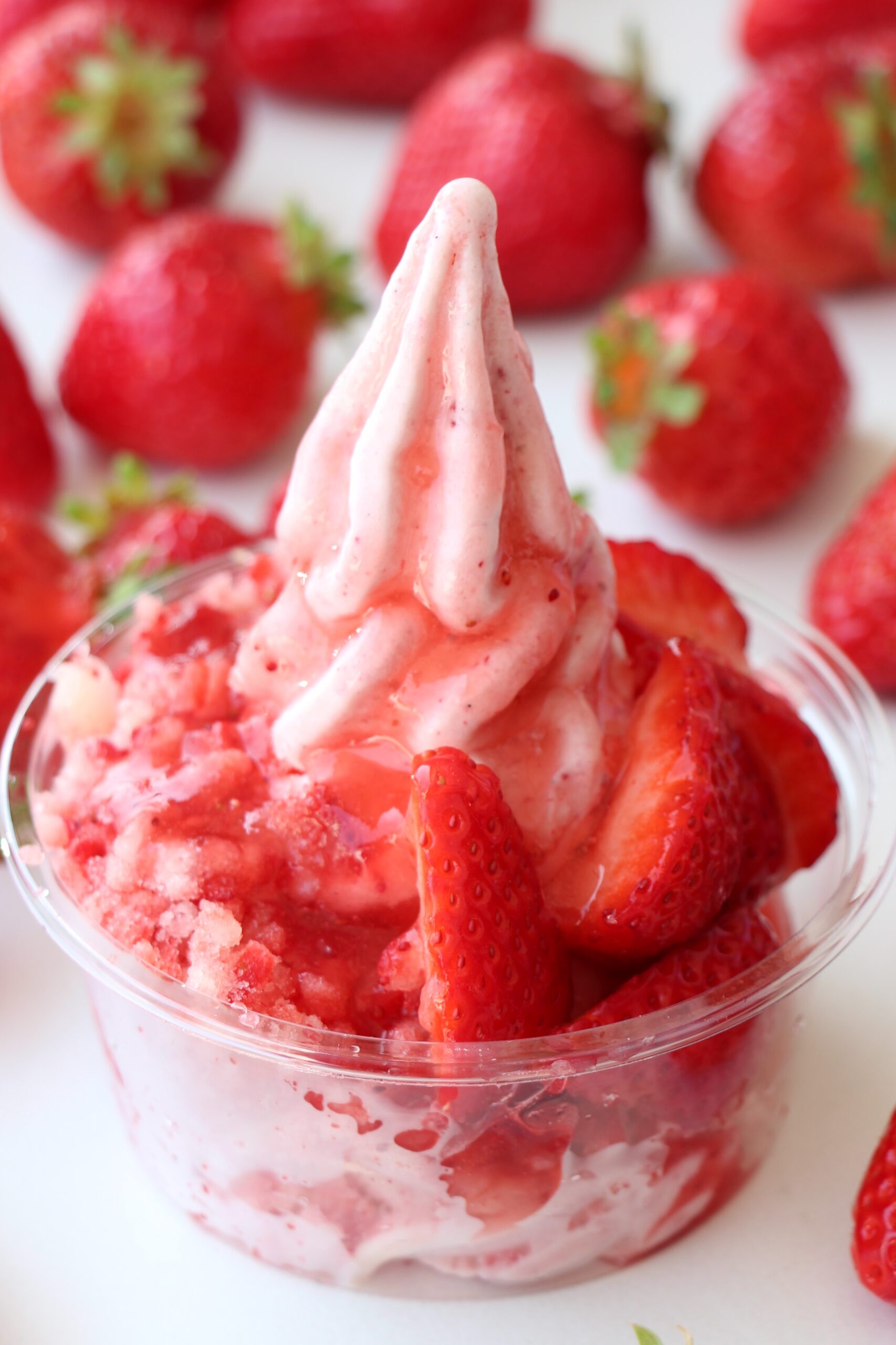 今のおすすめメニューです